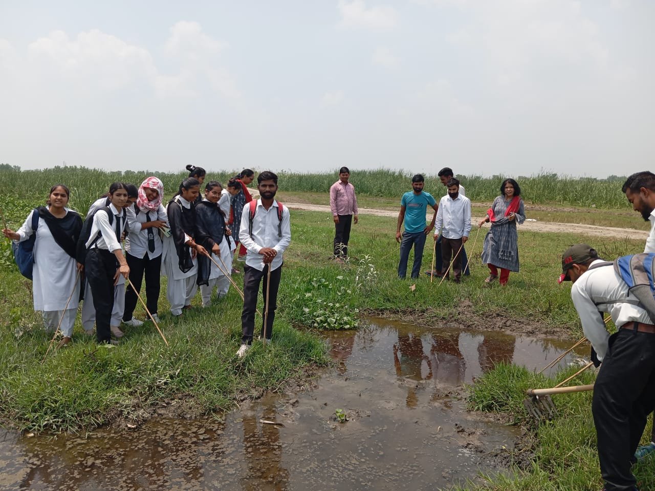 Red Cross Activity 6