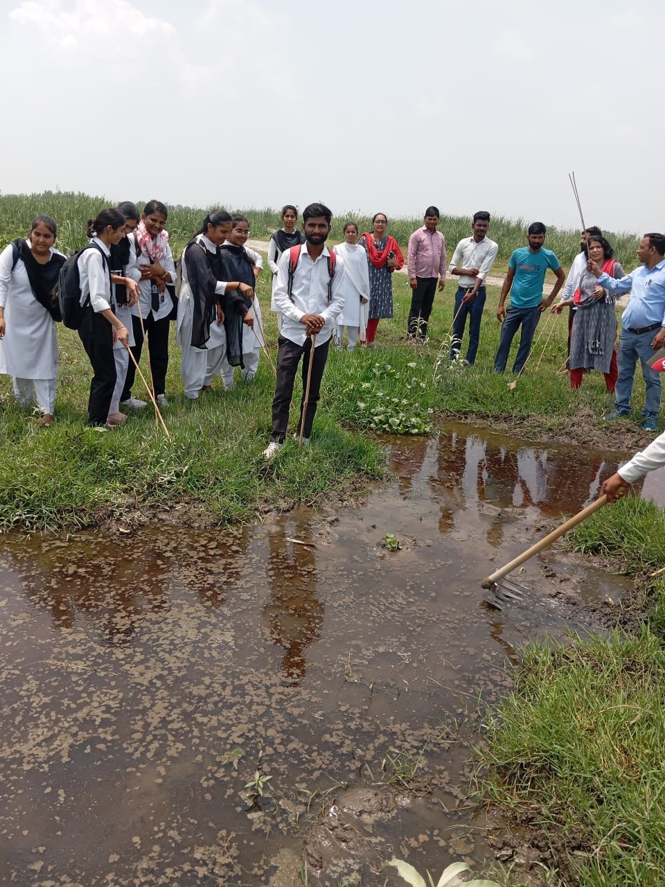 Red Cross Activity 7